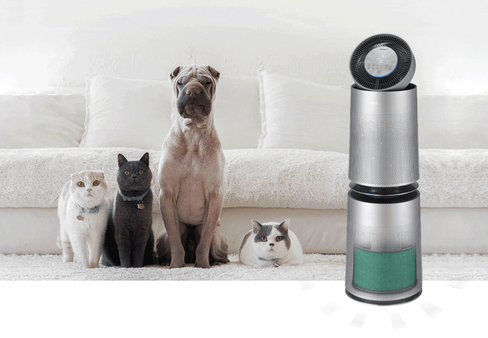 출처: LG 홈페이지