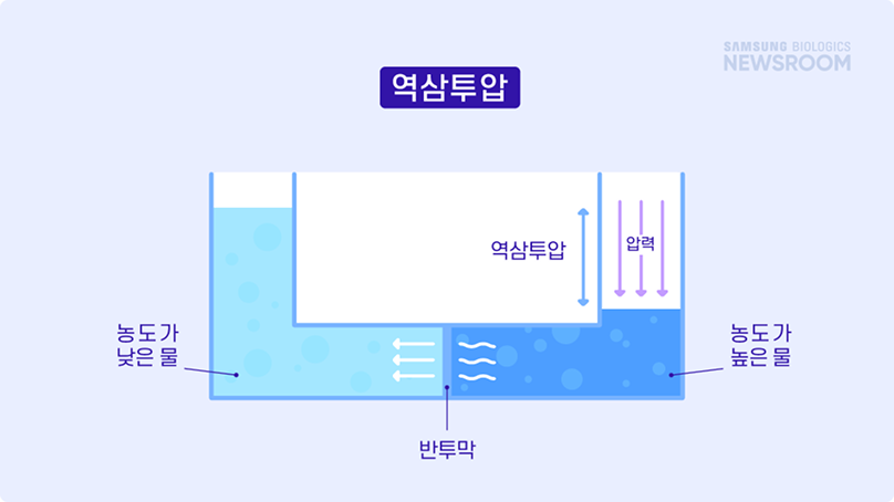 역삼투압 설명 | 출처: 삼성 BIOLOGICS