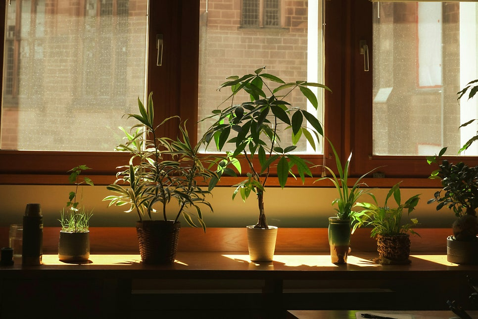 비염과 실내 환경에는 밀접한 영향이 있어요. | 출처: Unsplash