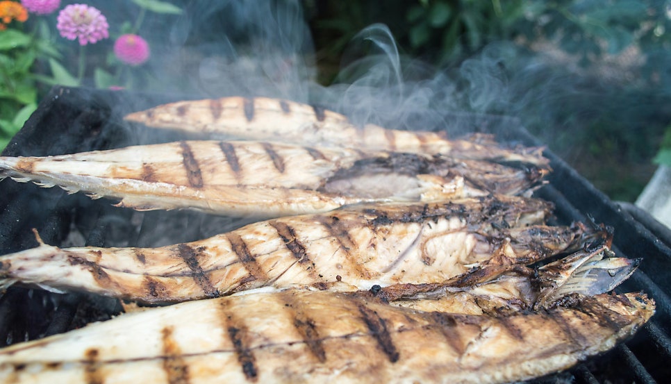 생선을 굽는 사진 | 출처: Unsplash