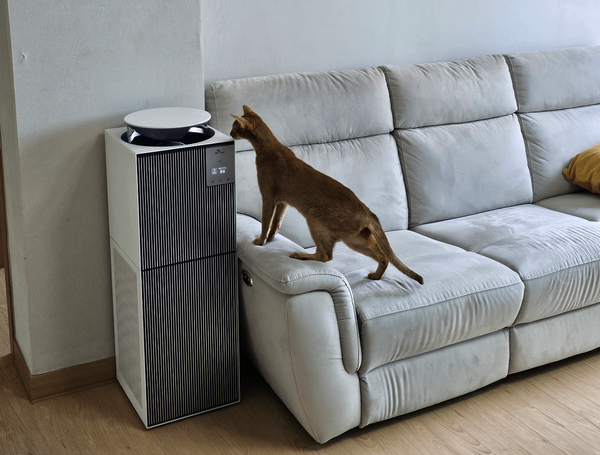 반려동물과 함께 사용 중인 SK 올 클린 디아트 펫 공기청정기 | 출처: 렌트리