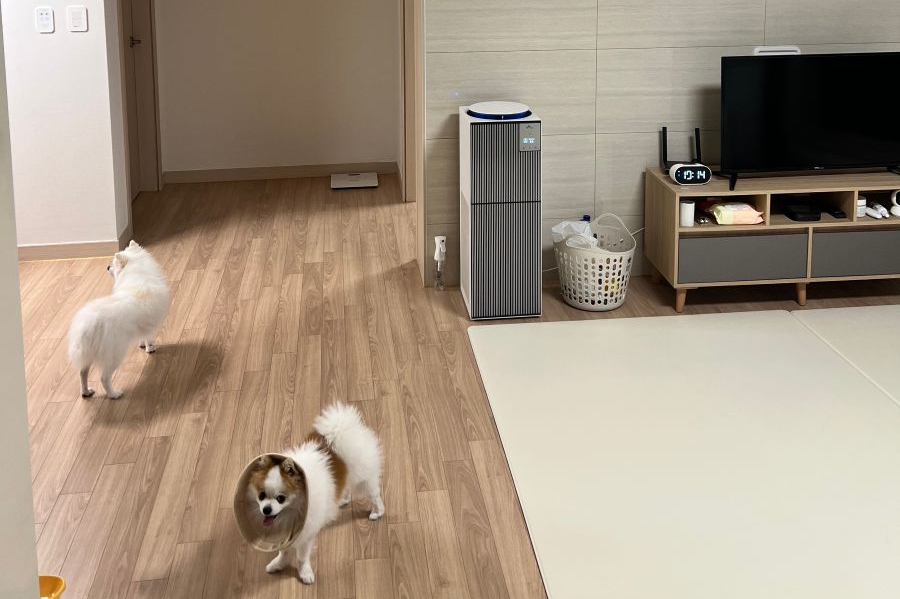 SK인텔릭스 올클린 디아트 펫 공기청정기 후기 사진 | 출처: 렌트리