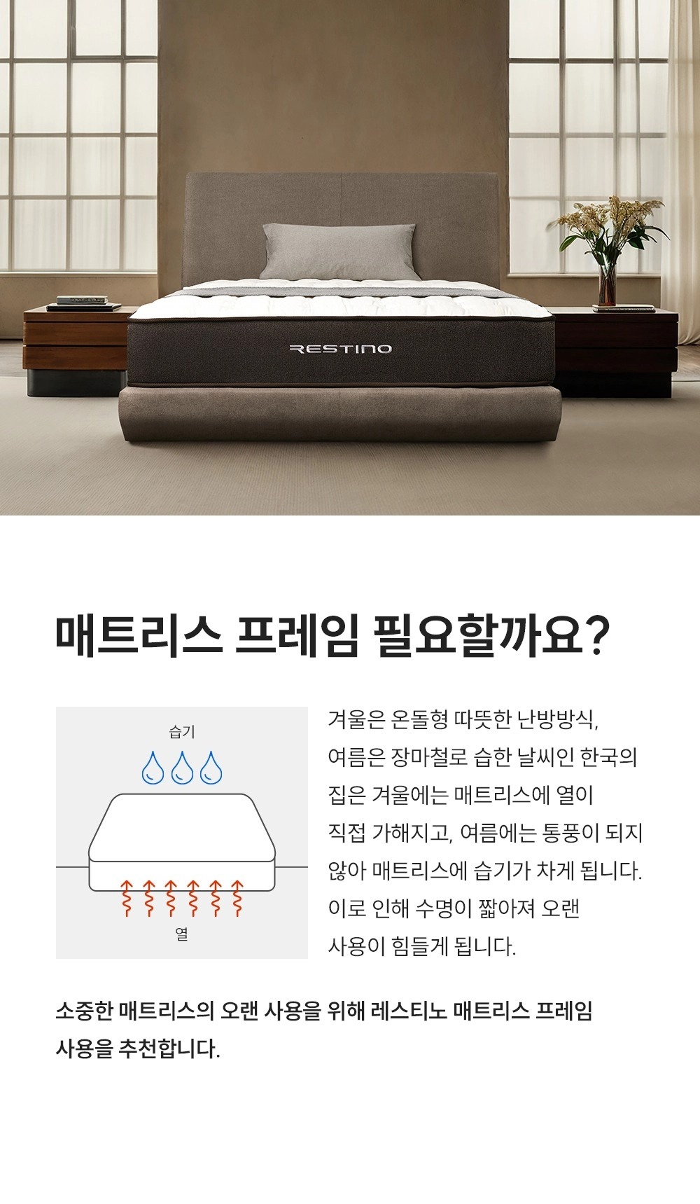 레스티노 프레임 슈퍼싱글(SS) (24년 10월 출시)