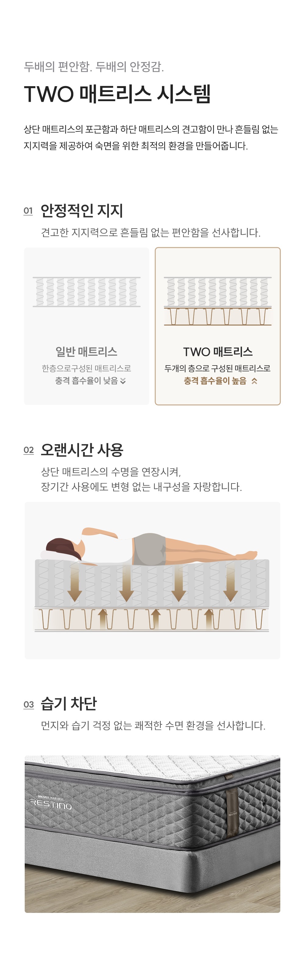 레스티노 프레임 퀸(Q) (25년 1월 출시)