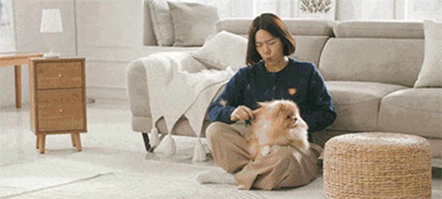 퍼캐쳐 (털 포집기, 펫 드라이)