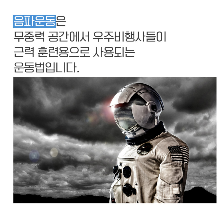 음파 토탈 바디 케어기 전신 진동 운동기구