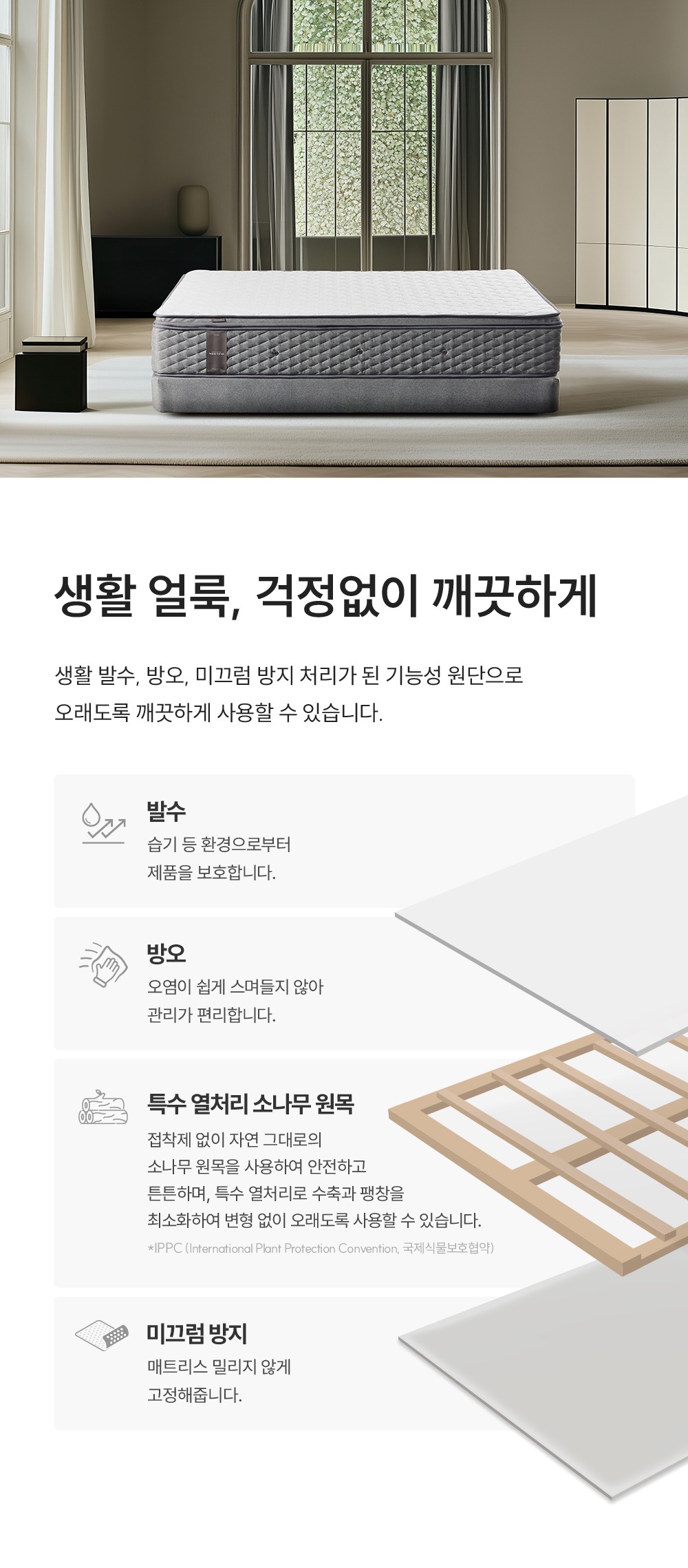 레스티노 프레임 슈퍼싱글(SS) (25년 1월 출시)
