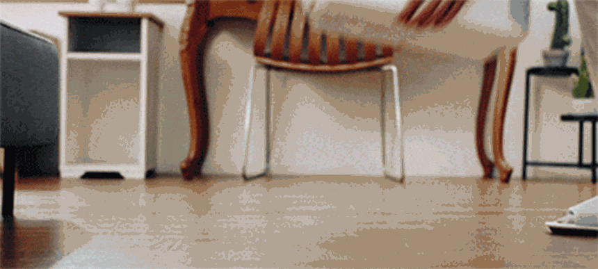 퍼캐쳐 (털 포집기, 펫 드라이)