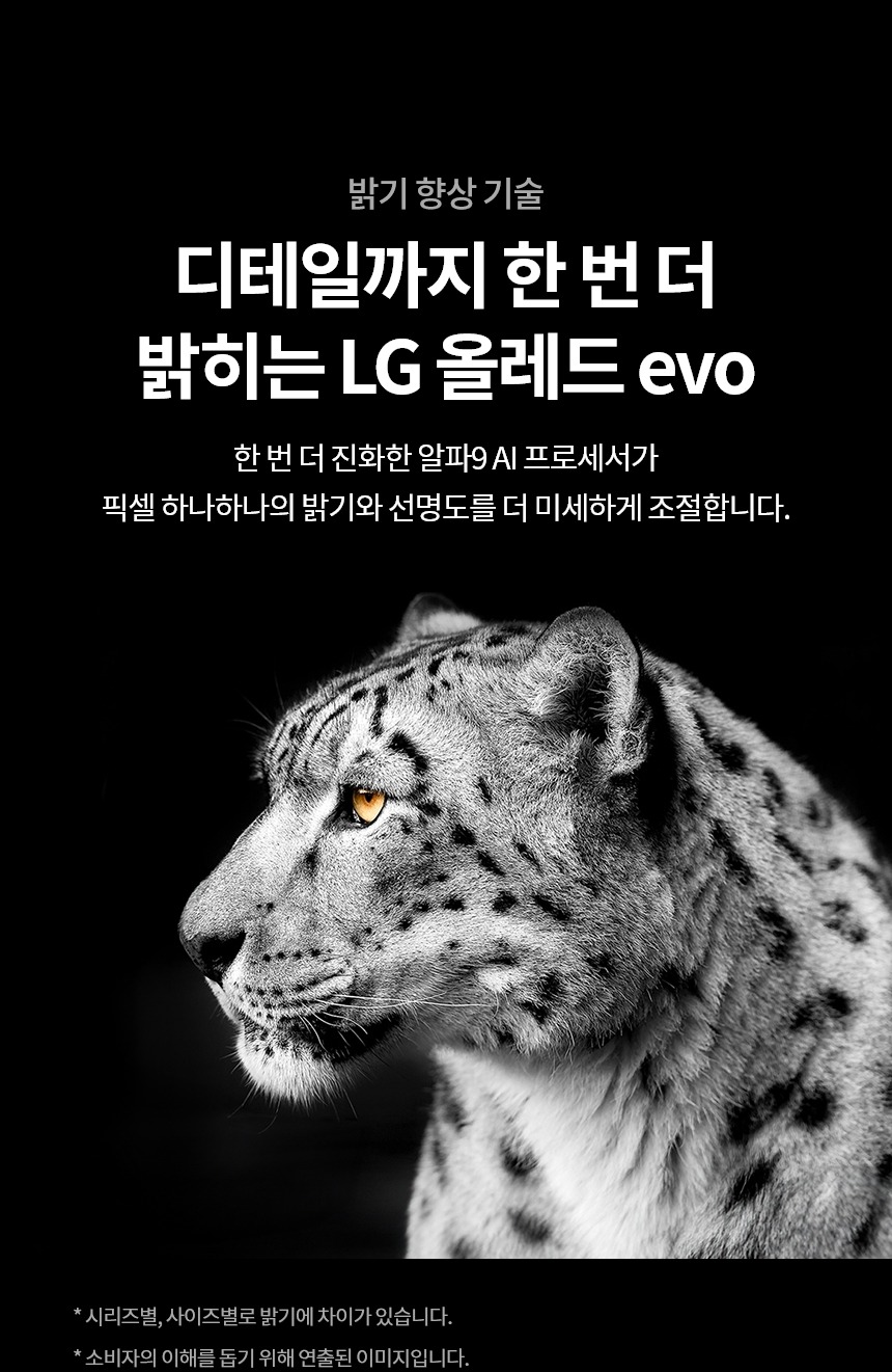 2024 올레드 evo TV 48인치 스탠드/벽걸이형