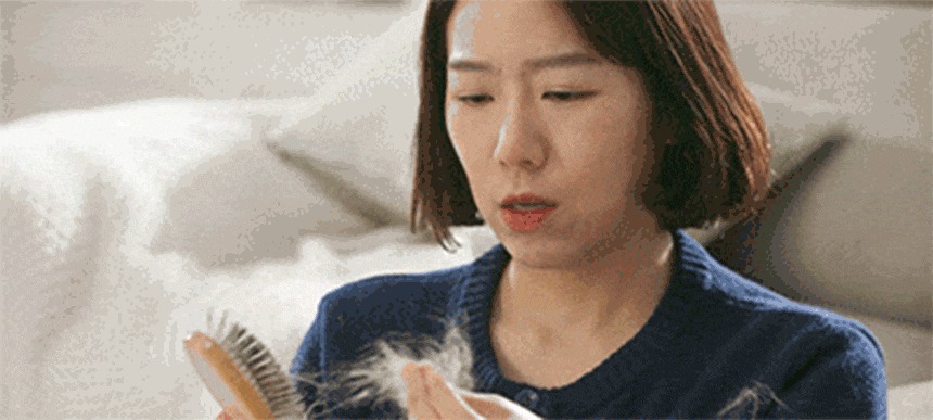 퍼캐쳐 (털 포집기, 펫 드라이)