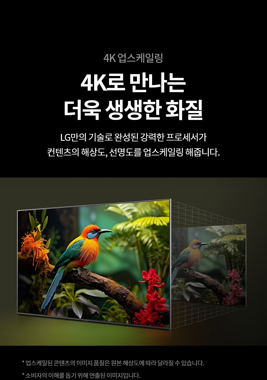 2025 QNED AI TV 85인치 벽걸이형