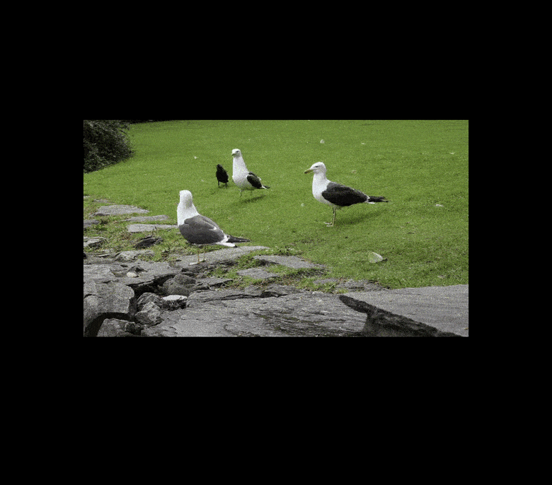 2025  구글스마트 TV 50인치