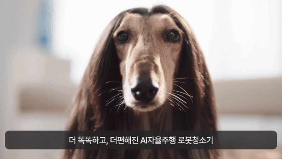 디봇 T10 터보 로봇청소기