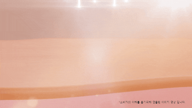 프로페셔널 미용기기