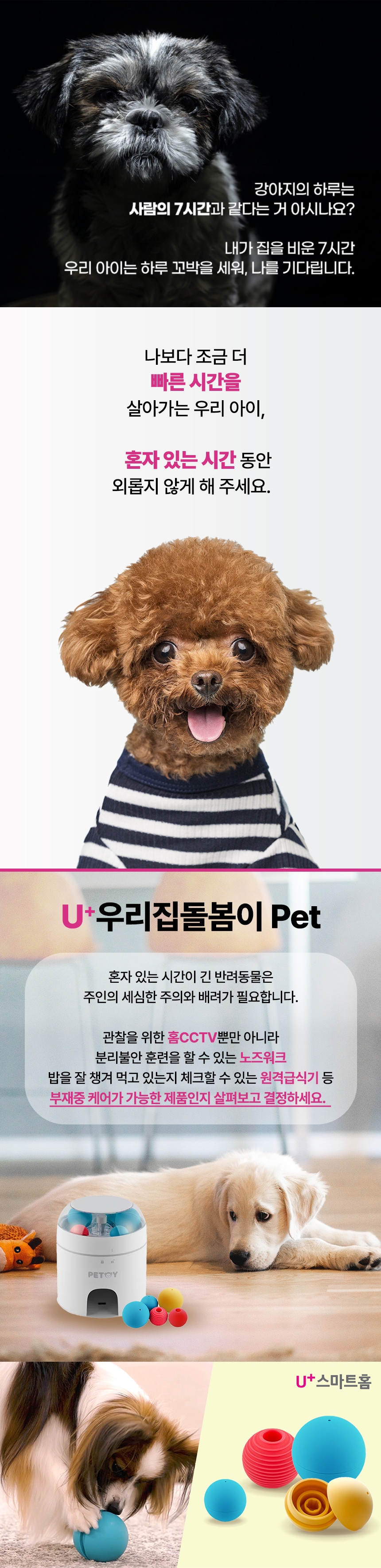 우리집돌봄이 Pet