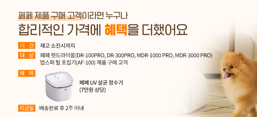업그레이드 펫드라이룸