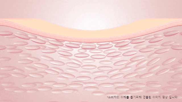 프로페셔널 미용기기