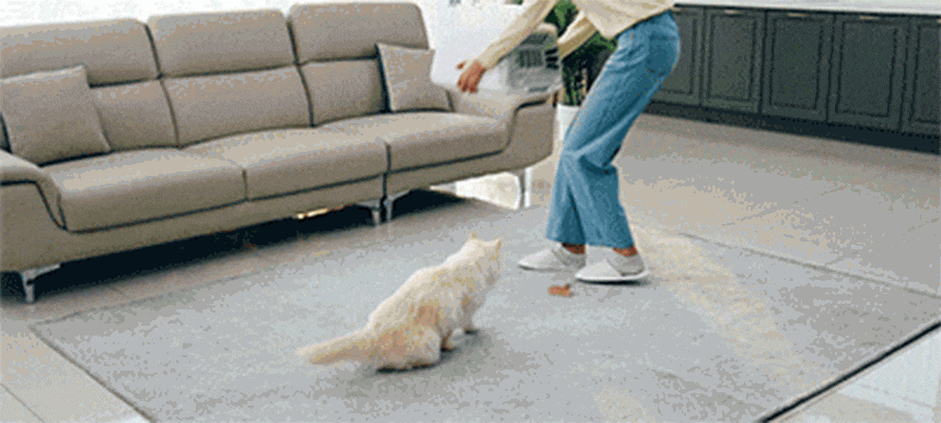 퍼캐쳐 (털 포집기, 펫 드라이)