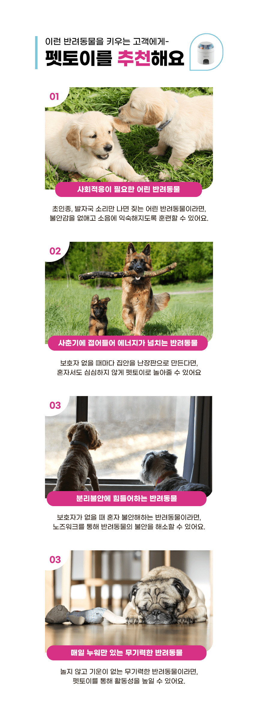 우리집돌봄이 Pet