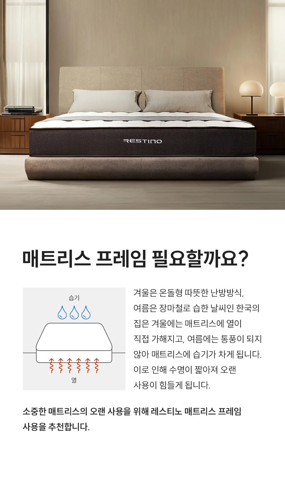 레스티노 프레임 퀸/킹(QK) (24년 10월 출시)