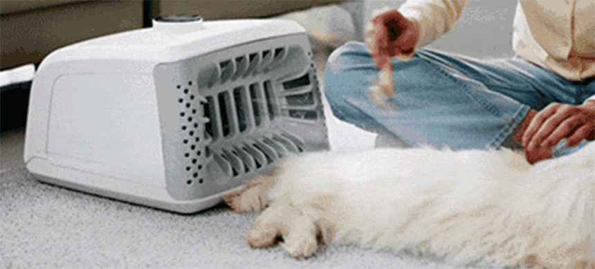 퍼캐쳐 (털 포집기, 펫 드라이)