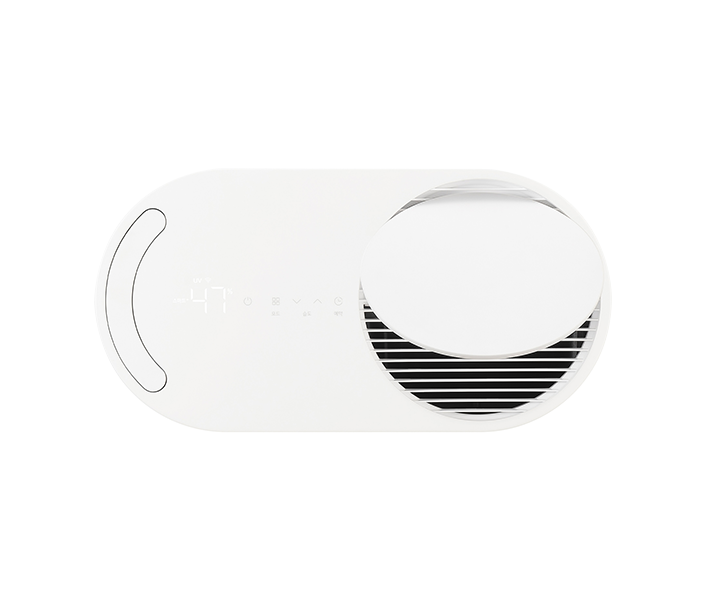 LG 휘센 오브제컬렉션 제습기 21L
