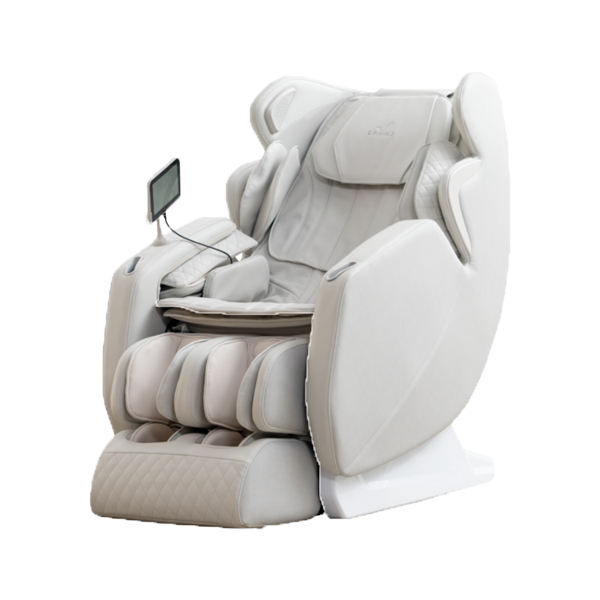 비엔토D 안마의자(가죽)