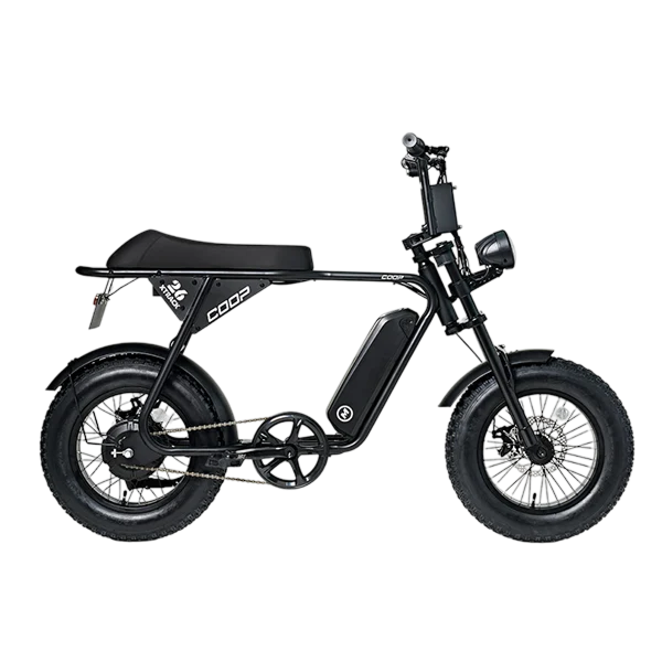 XTRACK 몬스터 쿱 SPD 전기자전거 (48V, 10Ah)