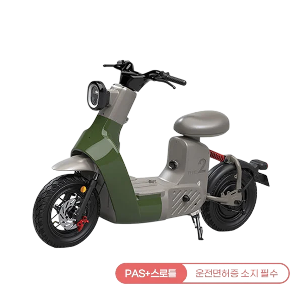 타입2 전동스쿠터 (그린)