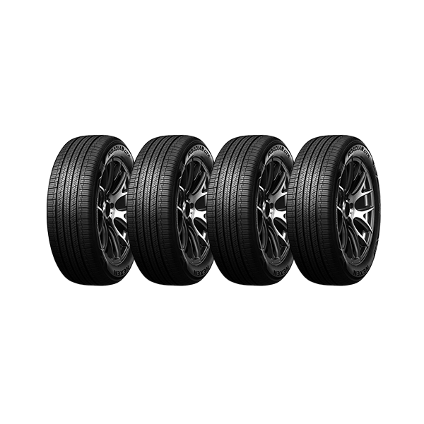 로디안 GTX 255/50R19 4개
